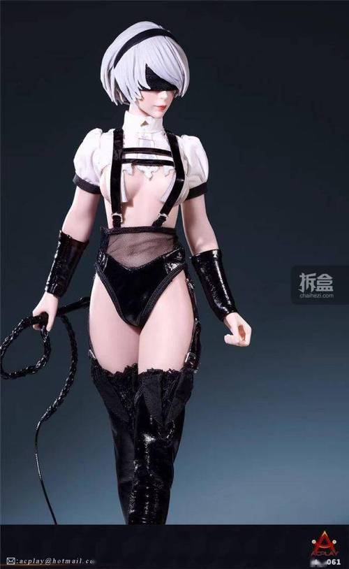 女王调教免费视频2026