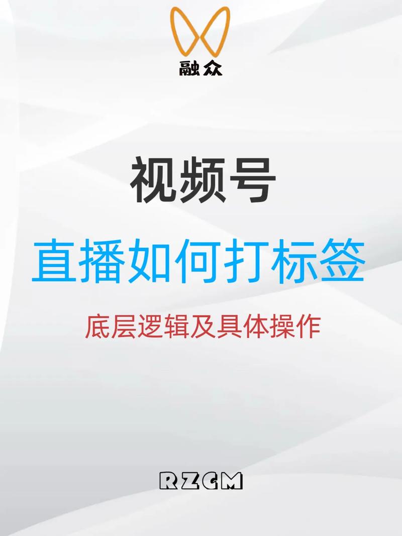 视频标签2026