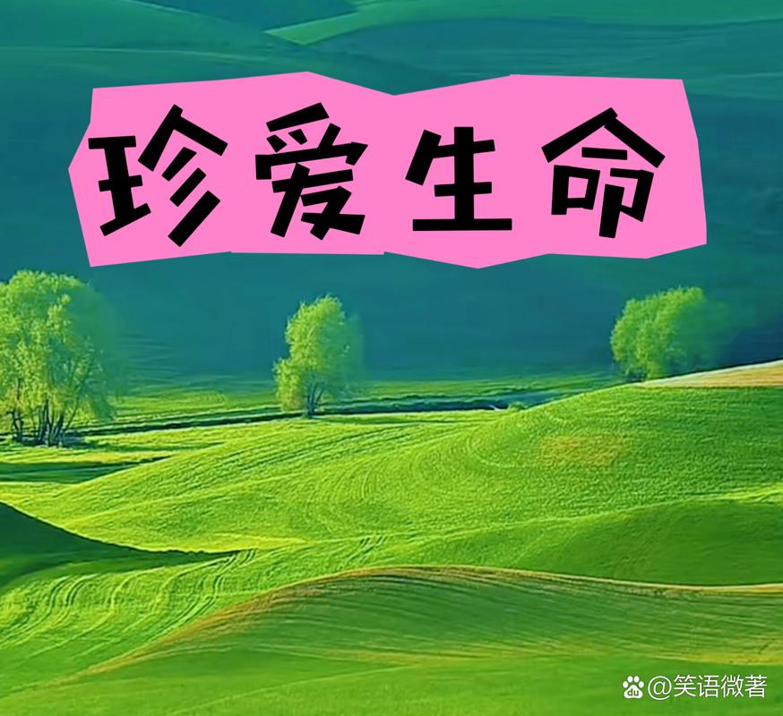 让生命充满爱下载2026