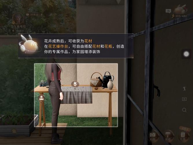 恋月2026