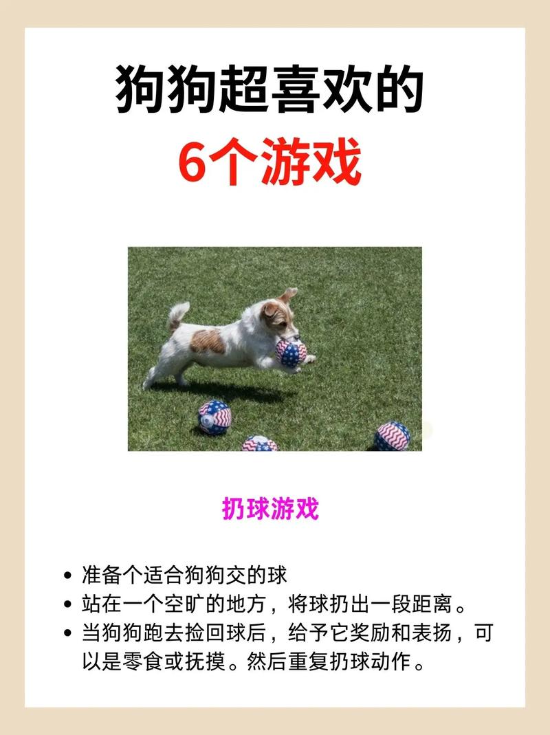 养狗小游戏2026截图