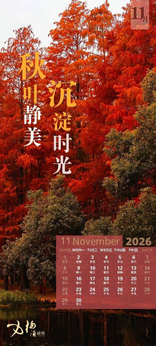 起来2026
