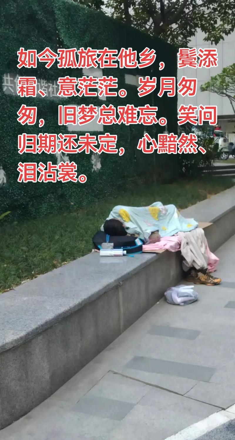 无家2026
