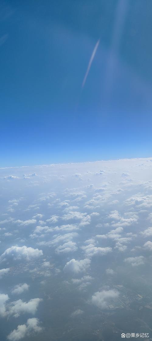 长空比翼下载2026