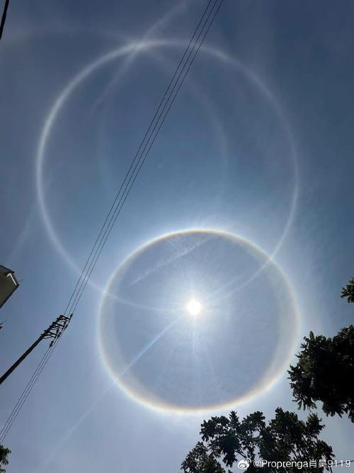 追逐日光 下载2026