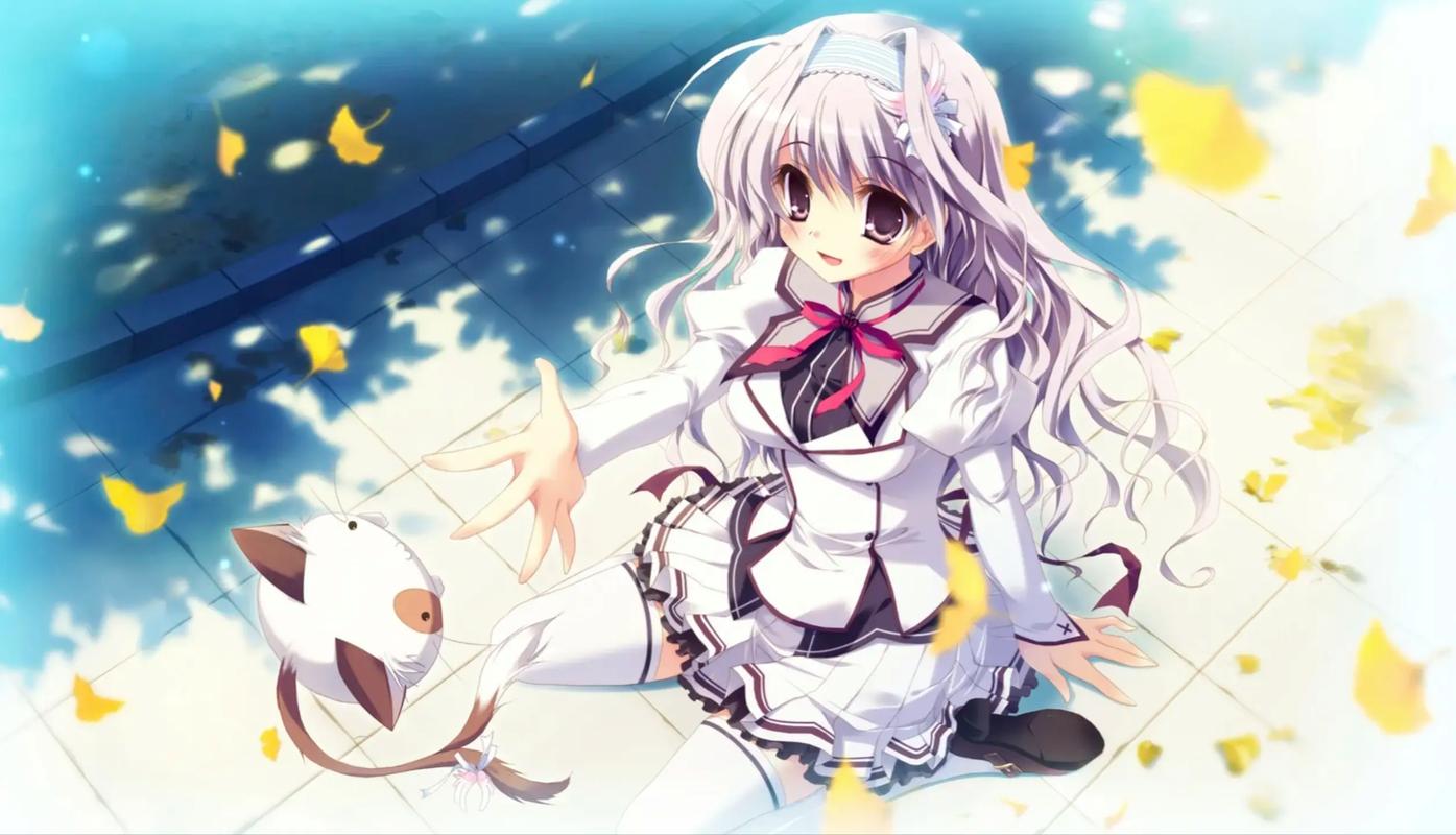 纯白色的交响曲2026