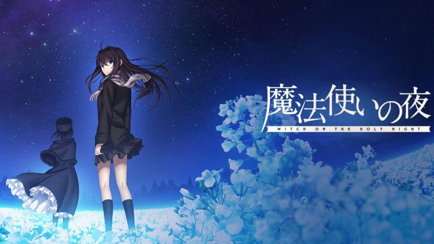 魔法使之夜安装2026