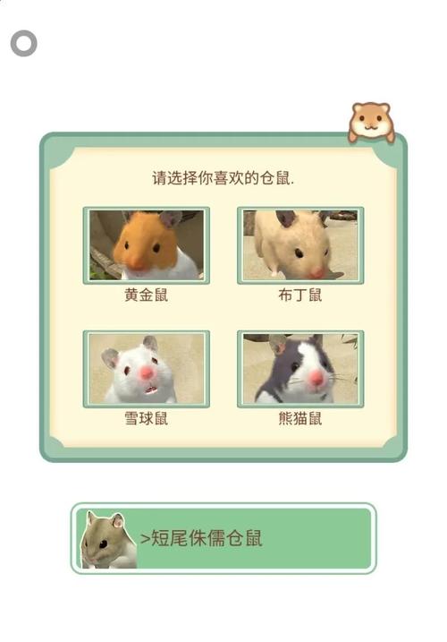 养仓鼠小游戏2026