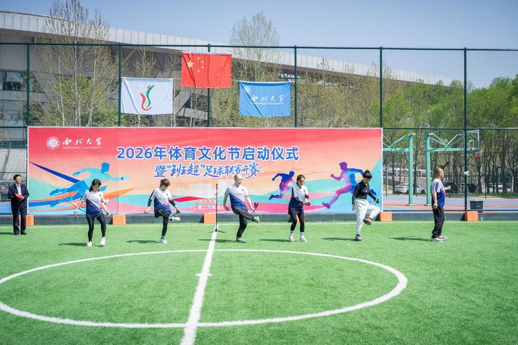 我的大学体育2026