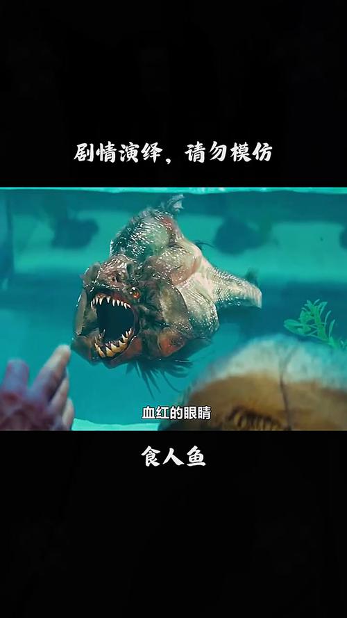 吃人鱼2026